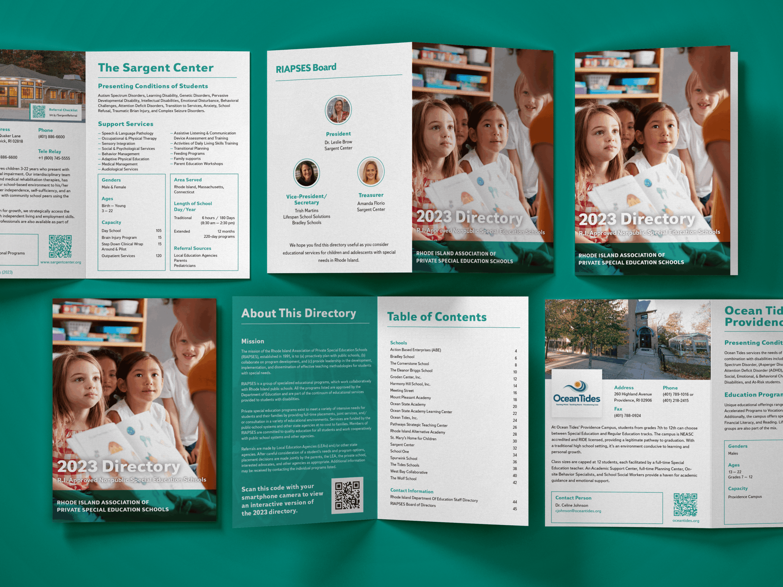 Custom-designed RIAPSES Directory booklet featuring education services, board details, and QR code on a green background.